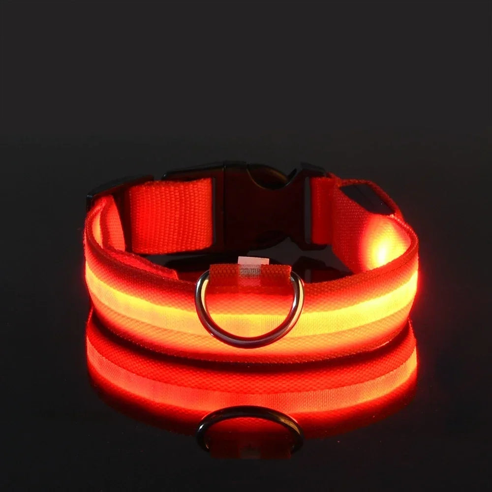 LED Dog Collar with Night Safety Light
