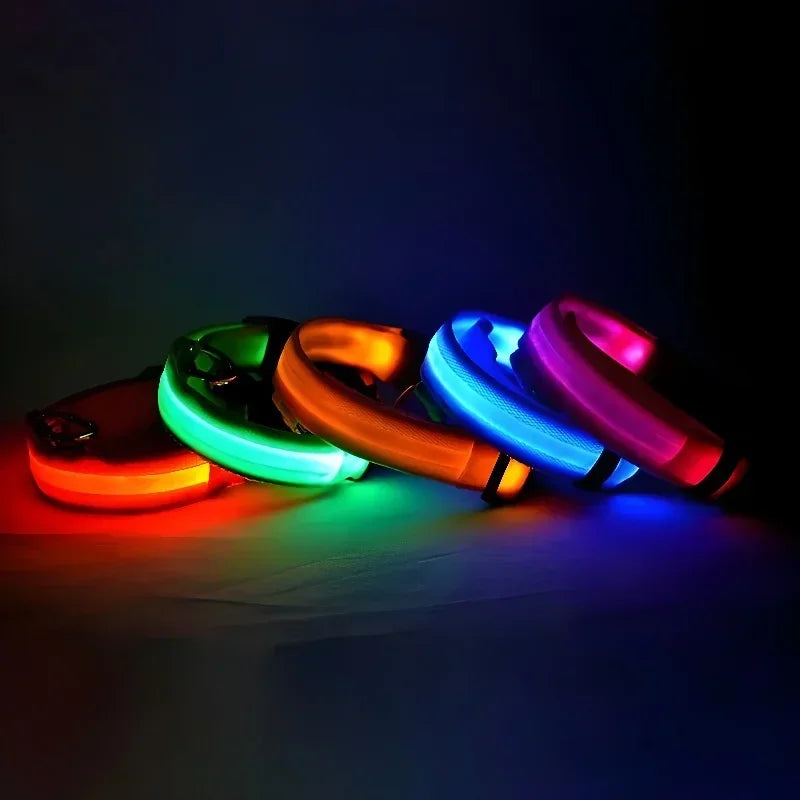 LED Dog Collar with Night Safety Light