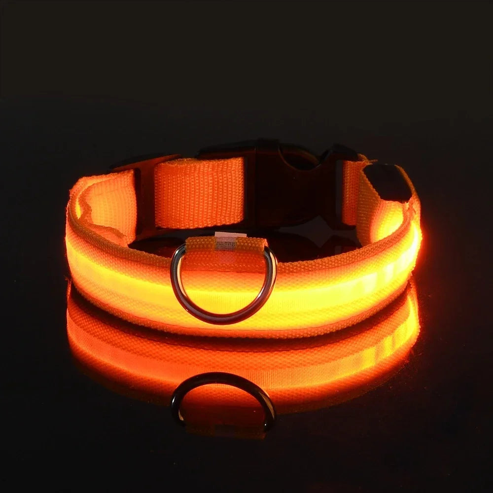 LED Dog Collar with Night Safety Light