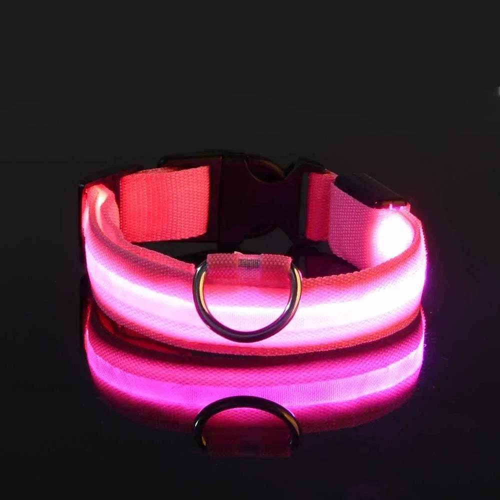LED Dog Collar with Night Safety Light