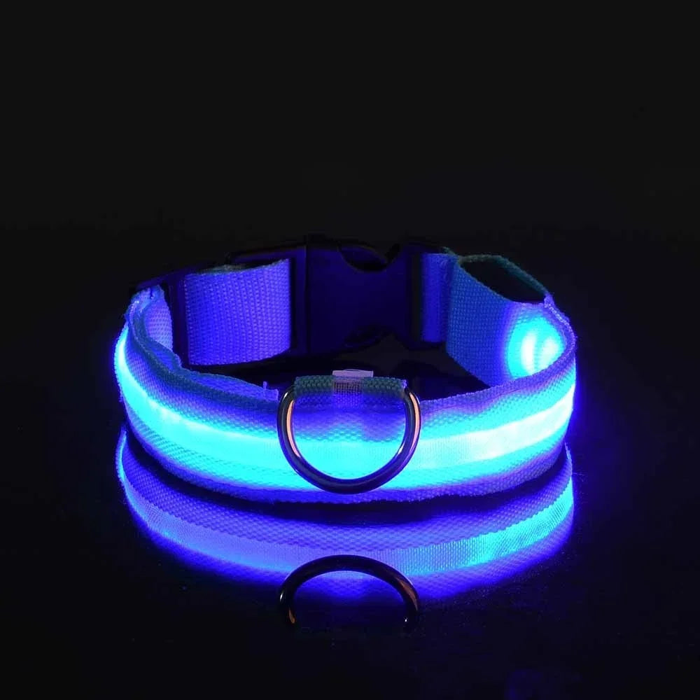 LED Dog Collar with Night Safety Light