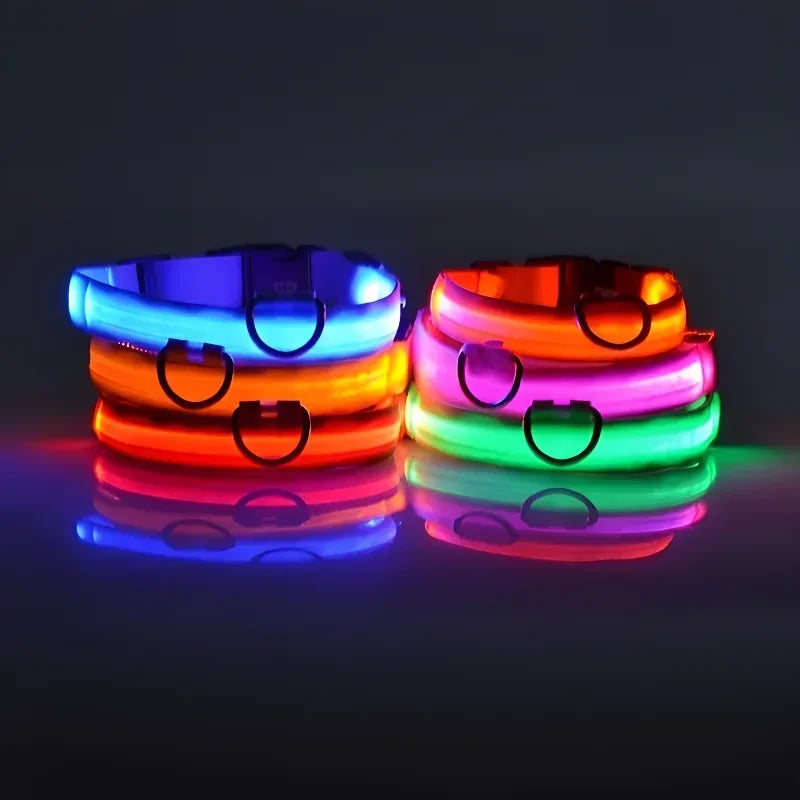 LED Dog Collar with Night Safety Light