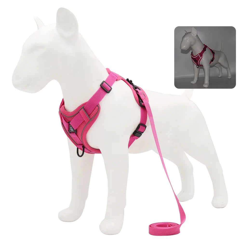 Harness And Leash Set