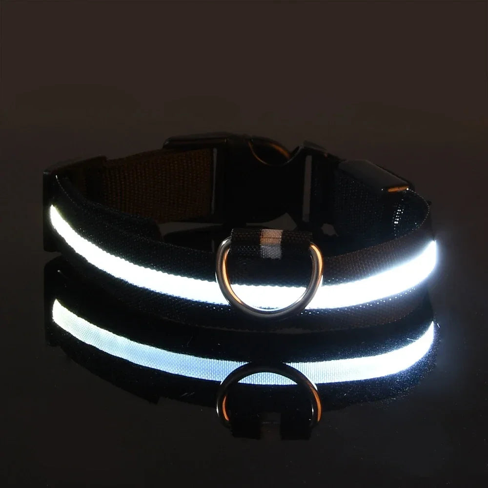 LED Dog Collar with Night Safety Light