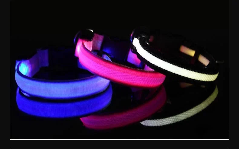 LED Dog Collar with Night Safety Light