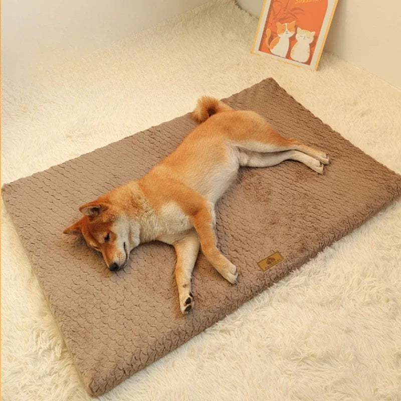 Orthopaedic Memory Foam Dog Bed with Washable Cover