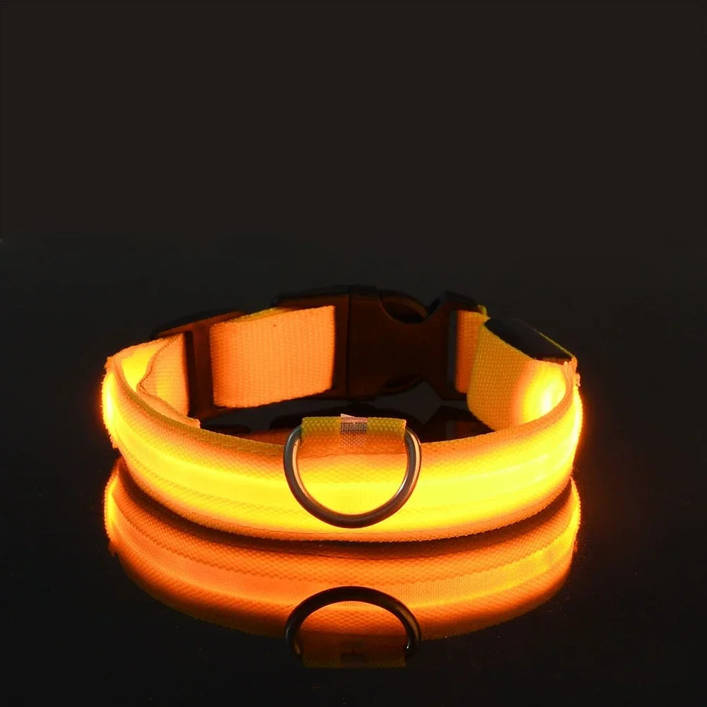 LED Dog Collar with Night Safety Light