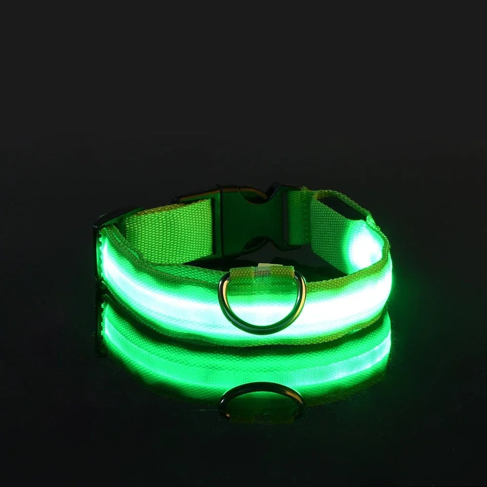 LED Dog Collar with Night Safety Light