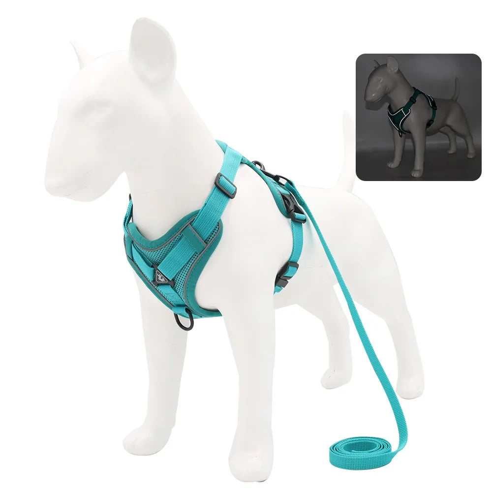 Harness And Leash Set