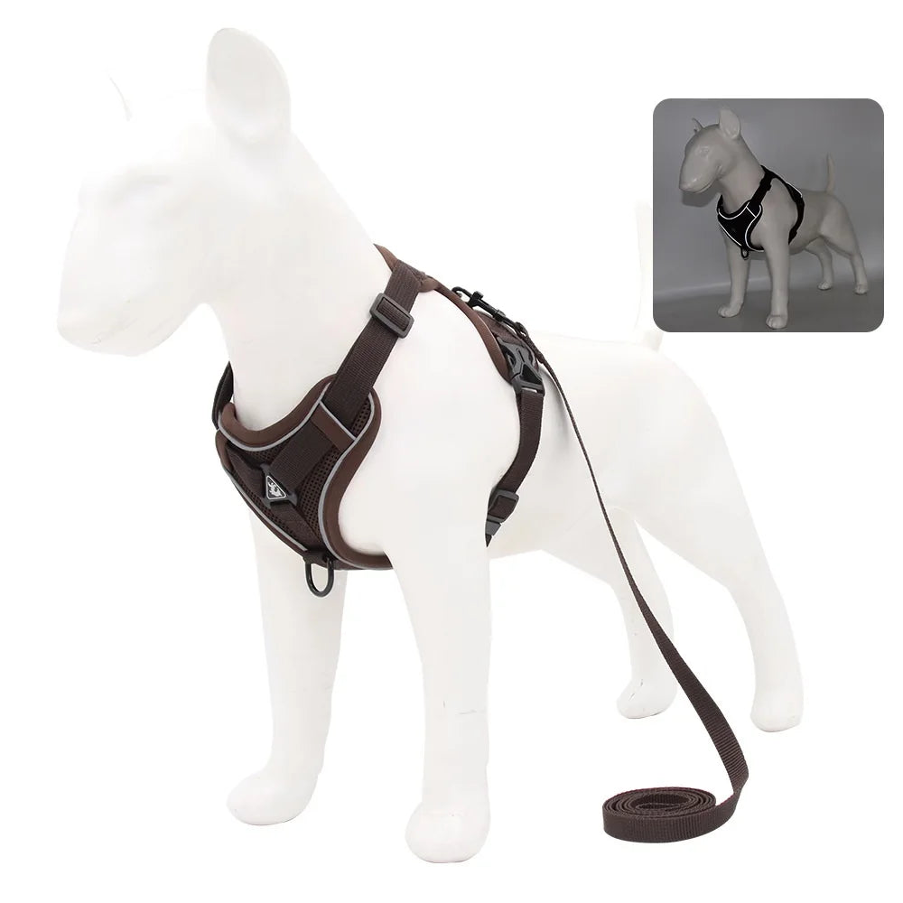 Harness And Leash Set