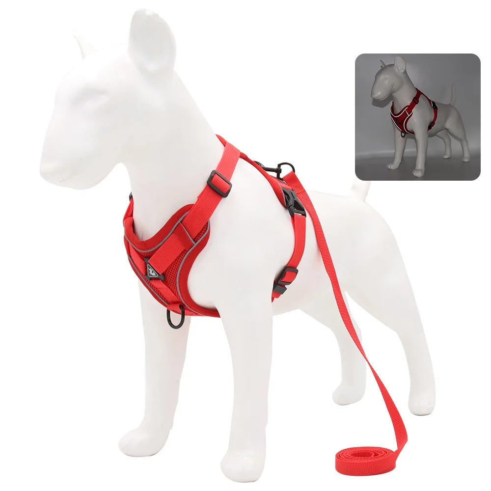 Harness And Leash Set