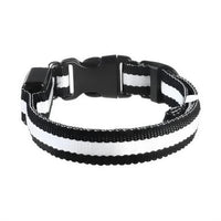LED Dog Collar with Night Safety Light