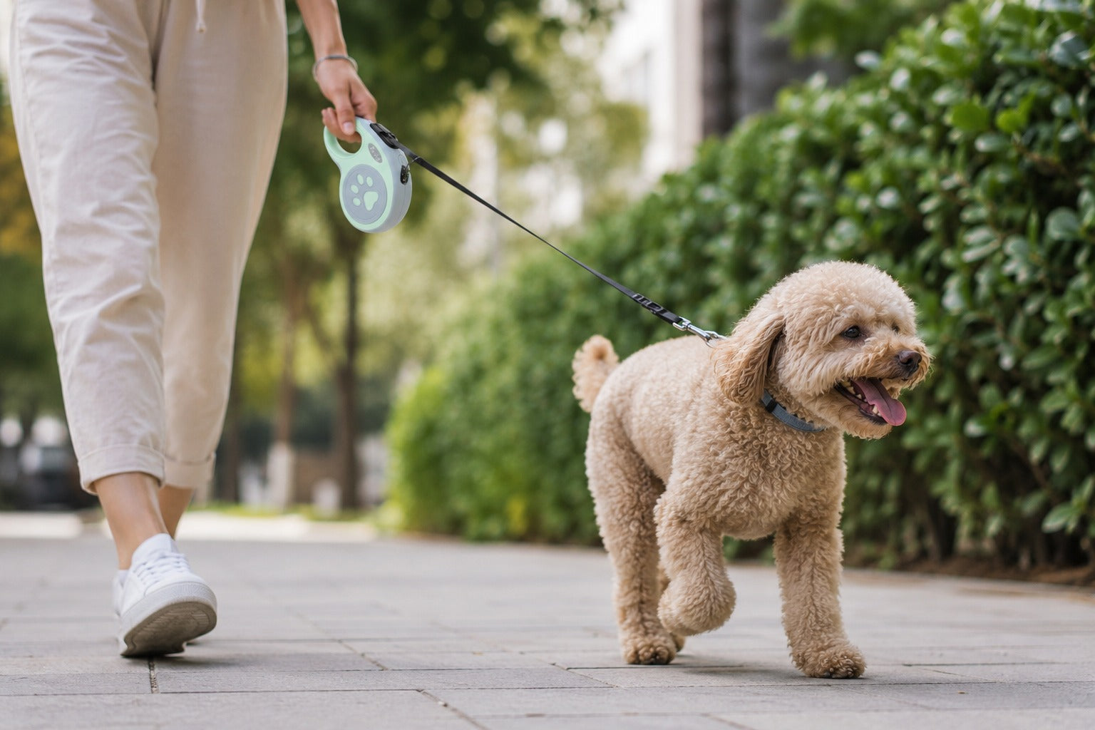 Retractable Dog Lead With Adjustable Length
